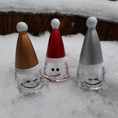 Cafe- Fernblick, Incl Meinecardplus Гостевой дом Виллинген