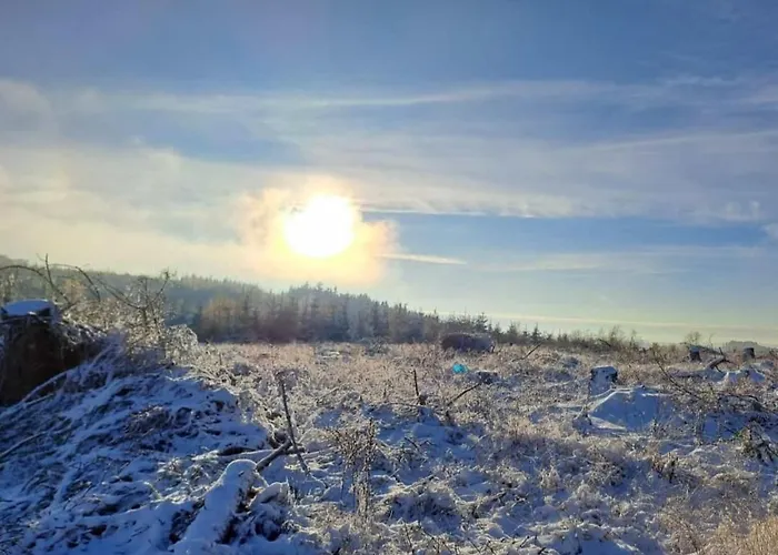 Cafe- Fernblick, Incl Meinecardplus 维林根