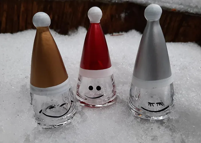 Cafe- Fernblick, Incl Meinecardplus 招待所 维林根